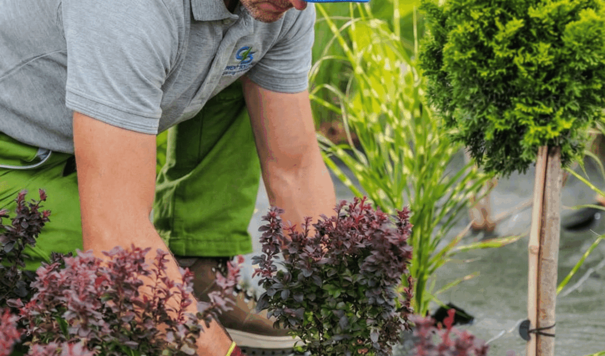 Transforming Spaces with Professional Gardening Services: Benefits, Tips, and Best Practices
